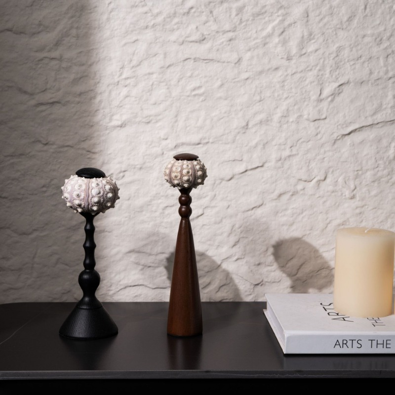 Escultura de concha creativa h - Interior Design Organic Modern reseña y precio