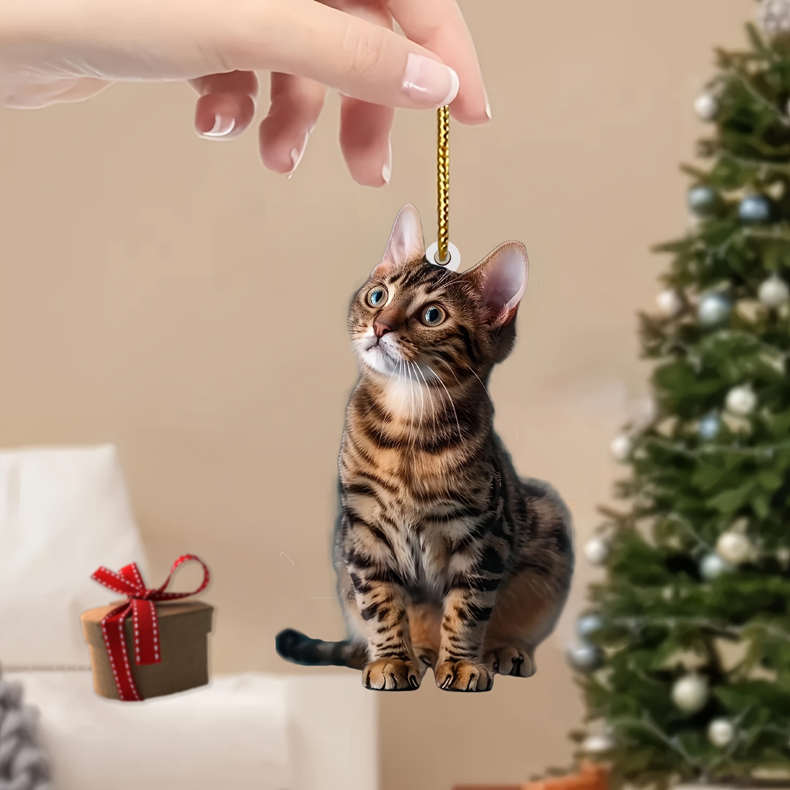 Colgante acrílico de gato plan - Interior Design Home Decor reseña y precio